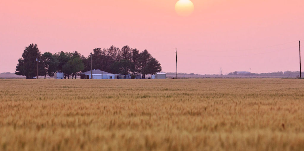 banner_Rural